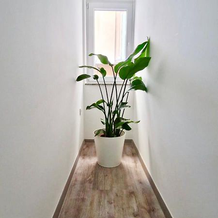 Ljubljana Central Cozy Apartment W Free Parking Екстериор снимка